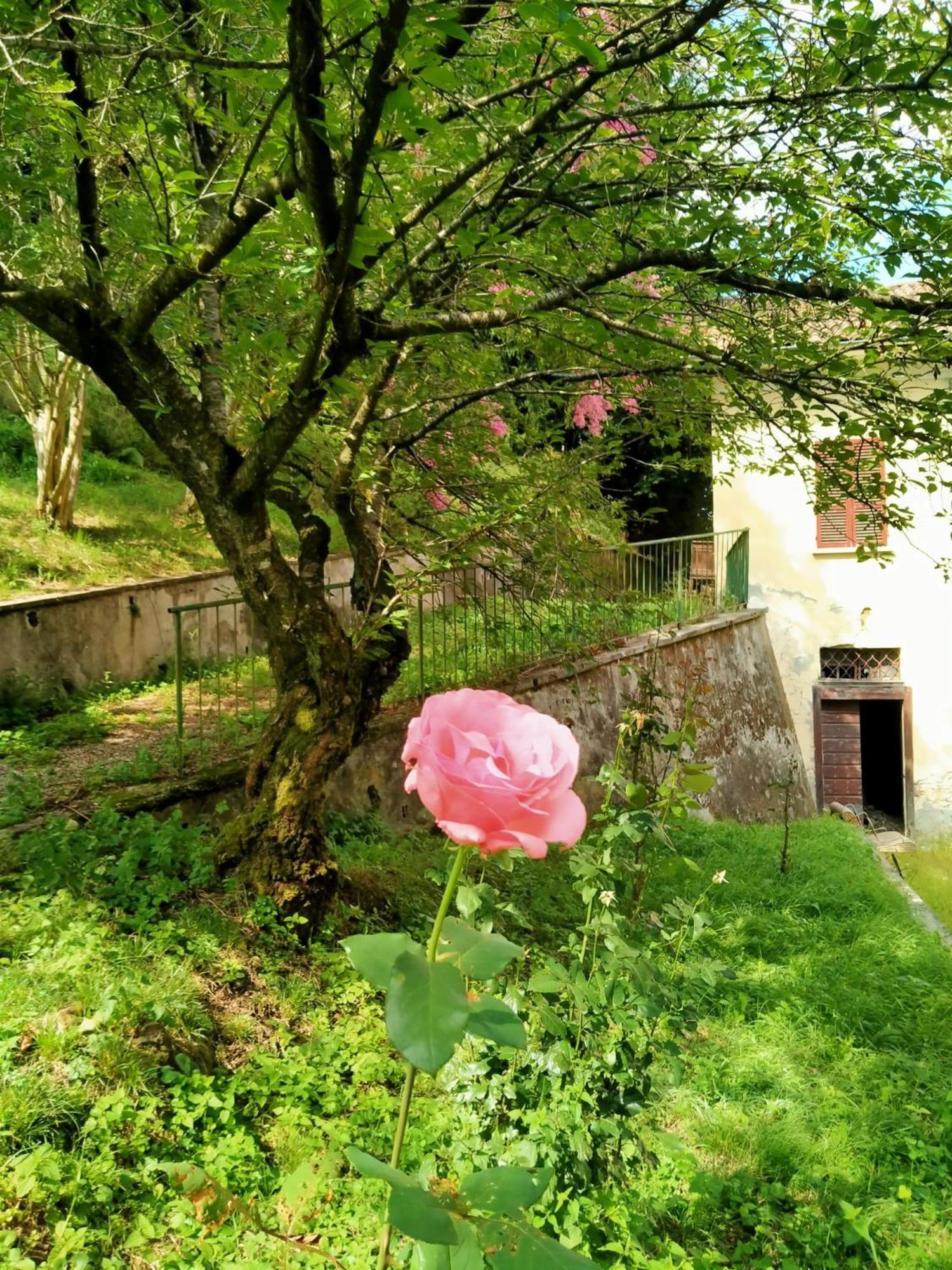 Casa Valduggia Bed and Breakfast Buitenkant foto